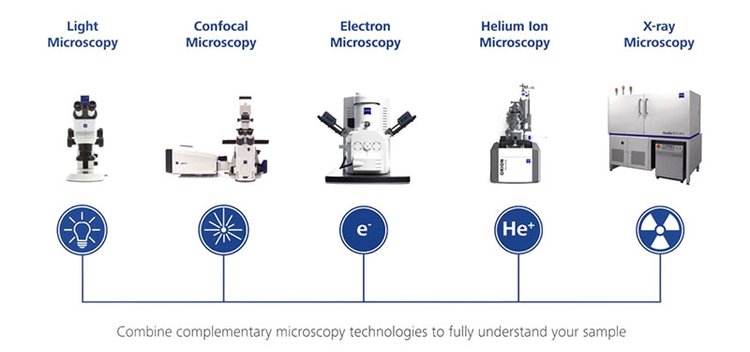 聊城共聚焦显微镜