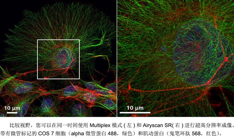 聊城共聚焦显微镜