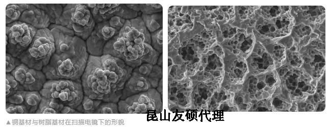 聊城蔡司聊城扫描电镜